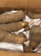 Fresh Yam