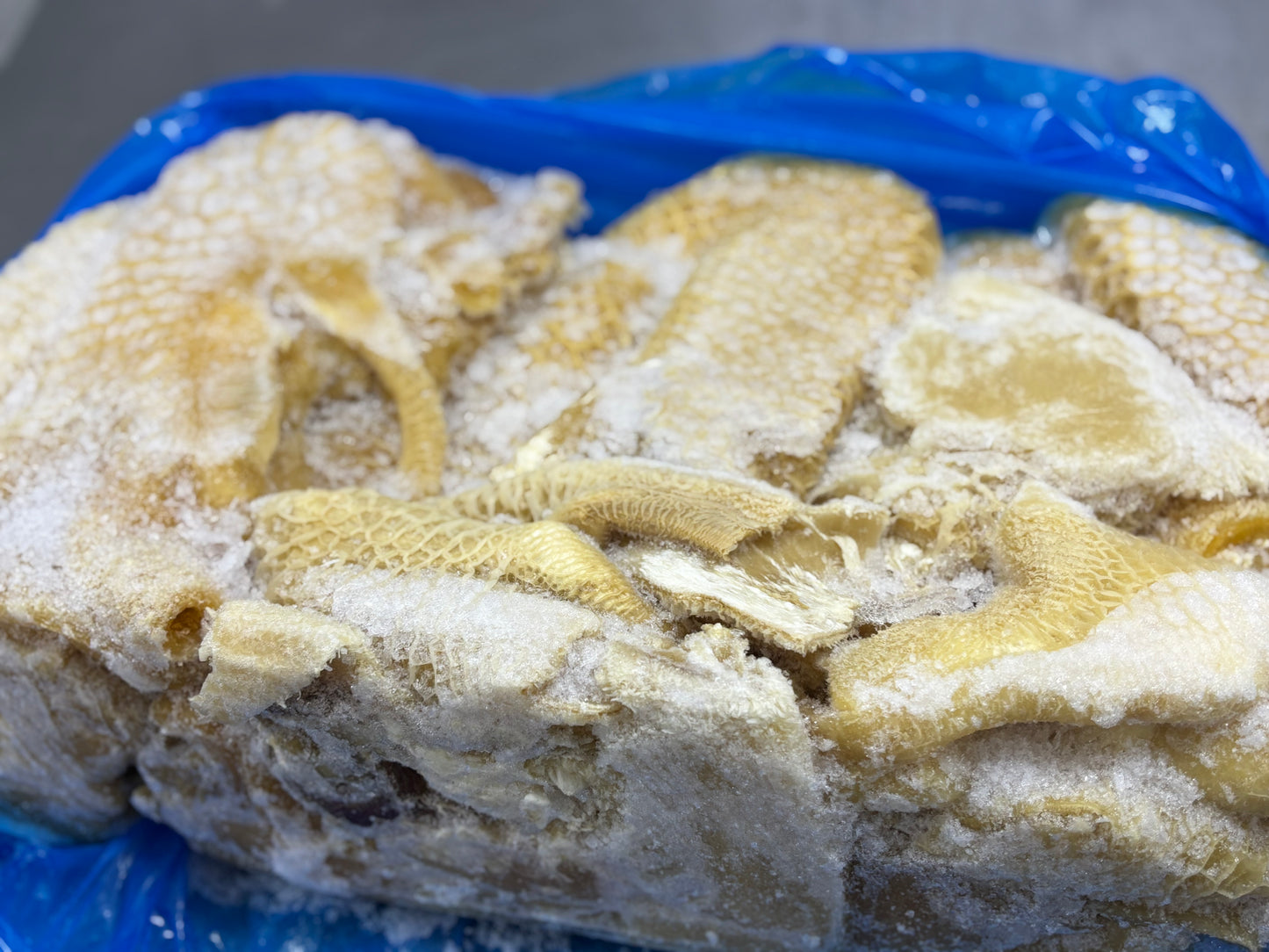 Honey comb(Sharki)